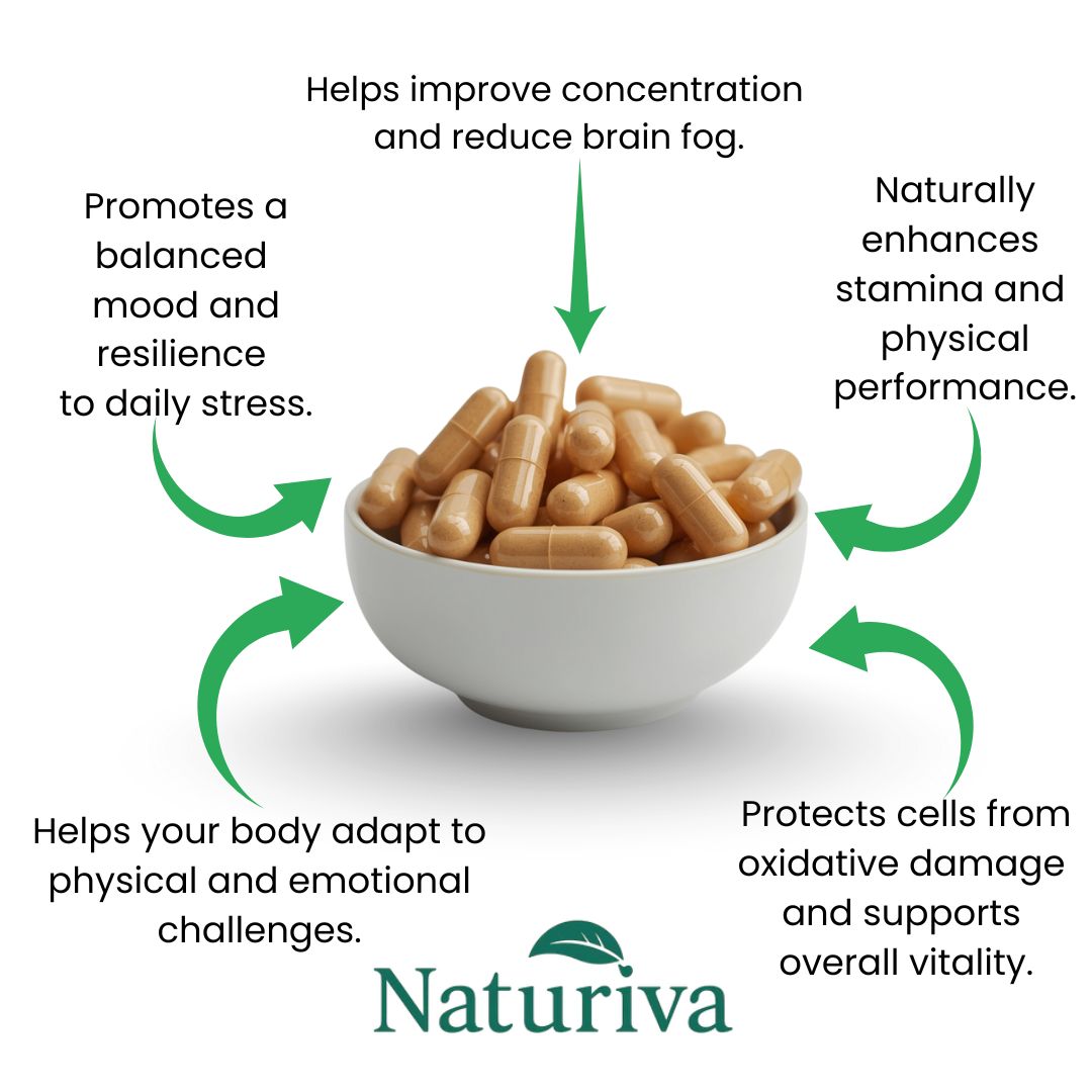 Naturiva Rhodiola Rosea – Naturally Balances Cortisol To Restore Energy, Focus, and Inner Calm